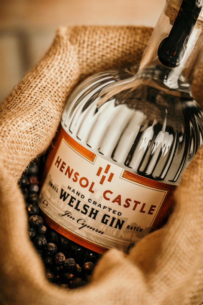 Hensol Castle Welsh Dry Gin