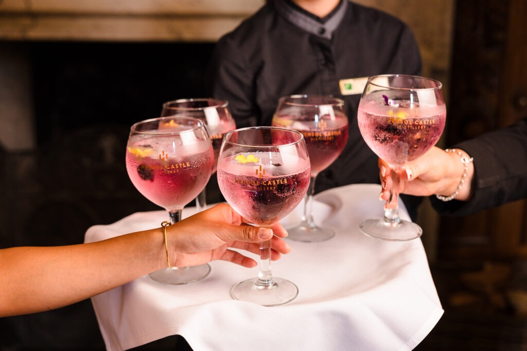 Gin Arrival Drink – Hensol Castle